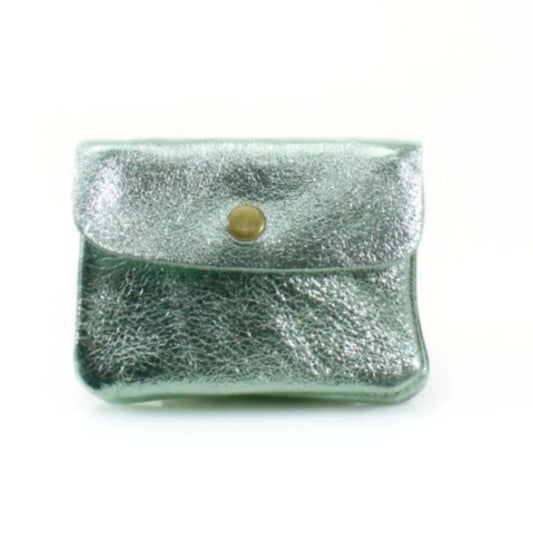 Mint Metallic Leather Purse